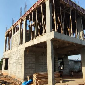 Build Pro Consultant (22)